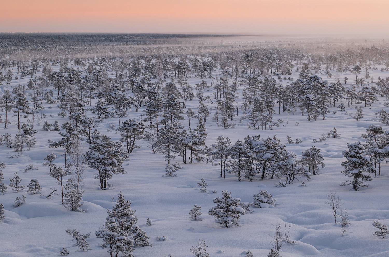 , Гордон Николай
