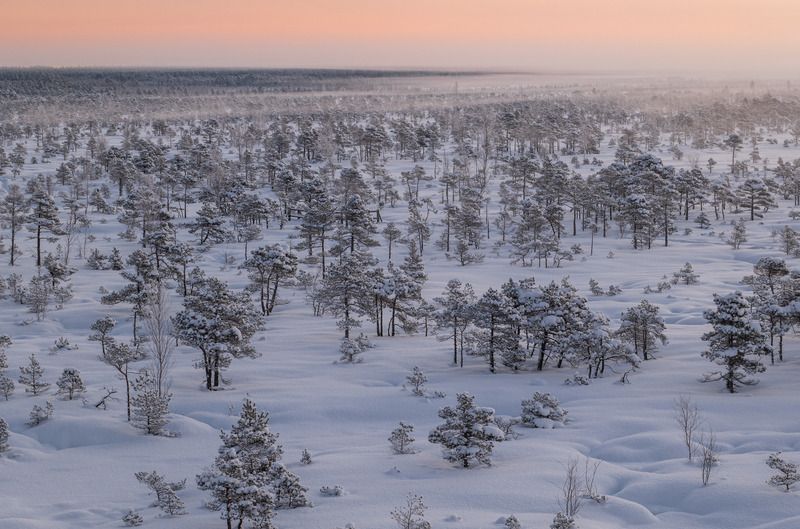 Зимнее утро/Winter morning фото превью