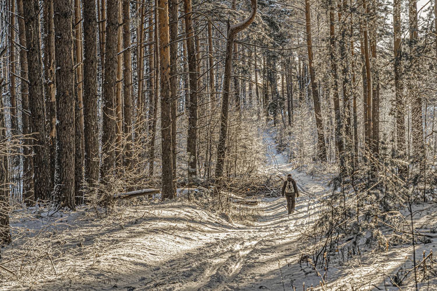 , Шитов Александр