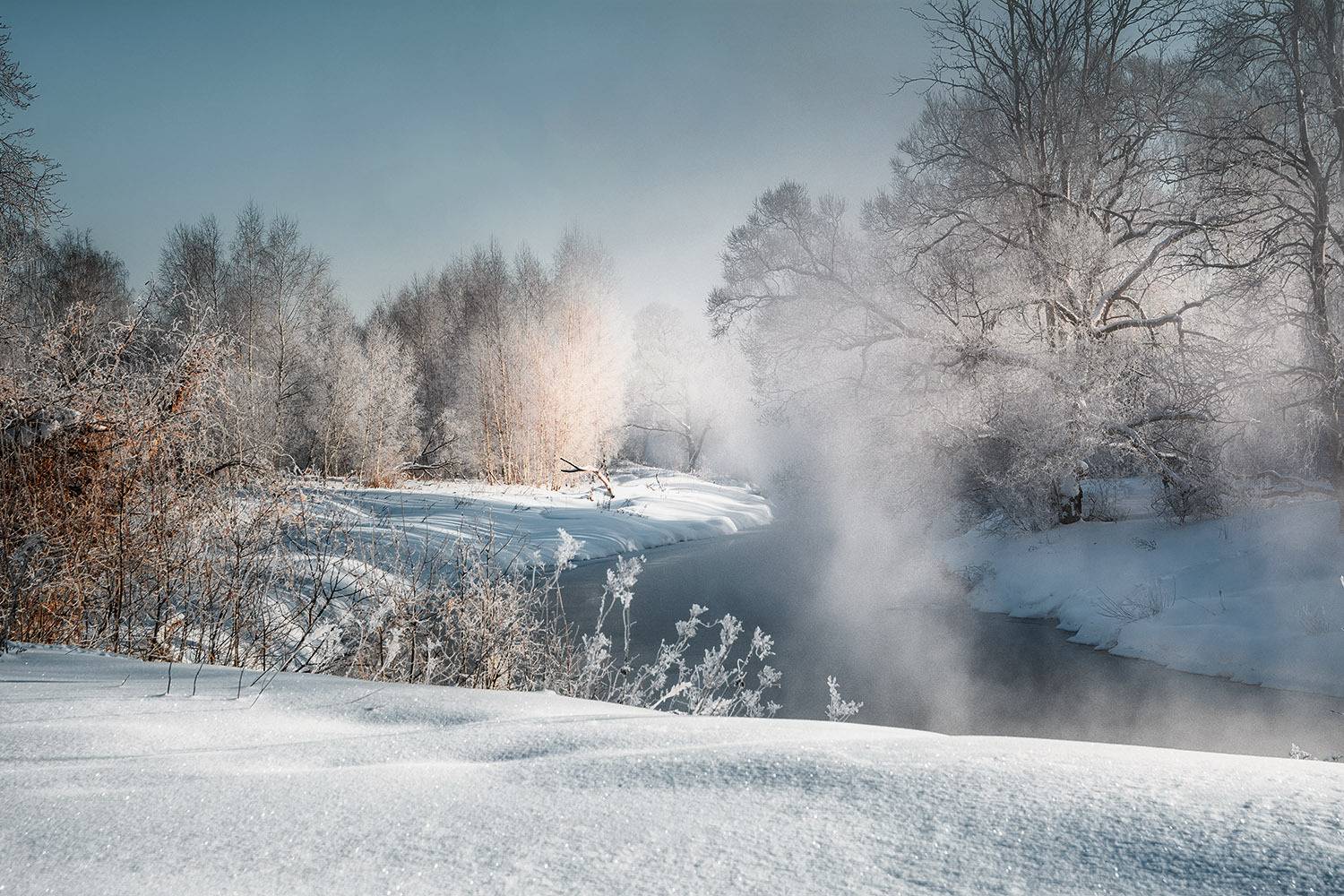 , Анатолий Зверев