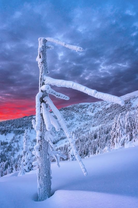 Хранители Аргыджека фото превью