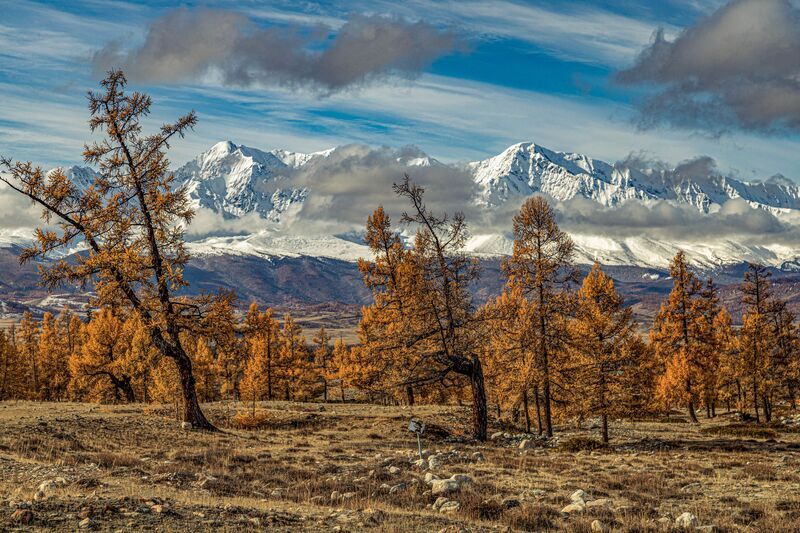 Алтай фото превью