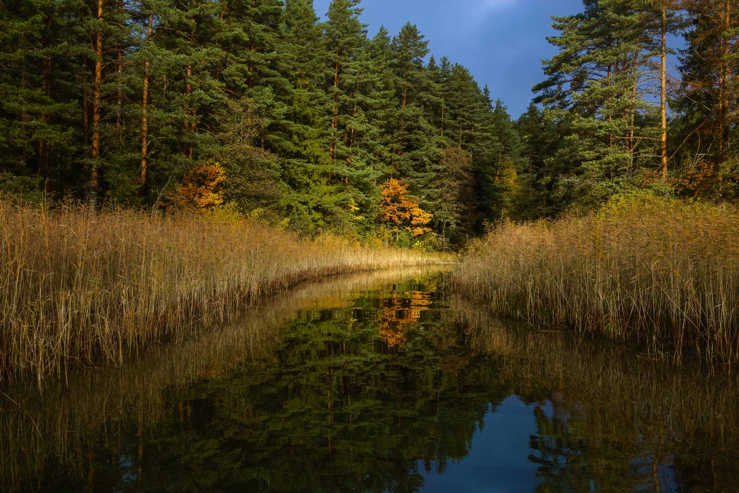 горы, пейзаж, утро, осень, Мурзинов Виктор