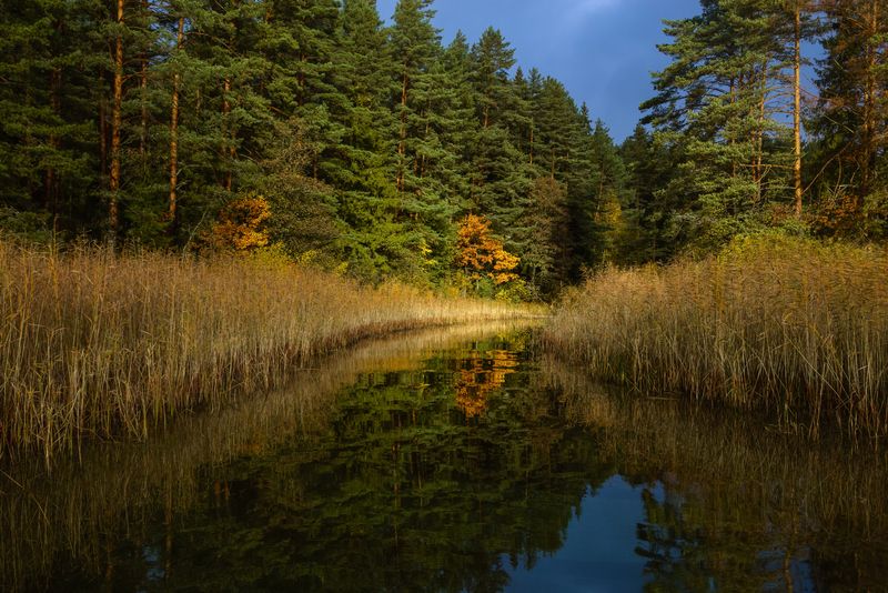 горы, пейзаж, утро, осень В желтом и синем фото превью