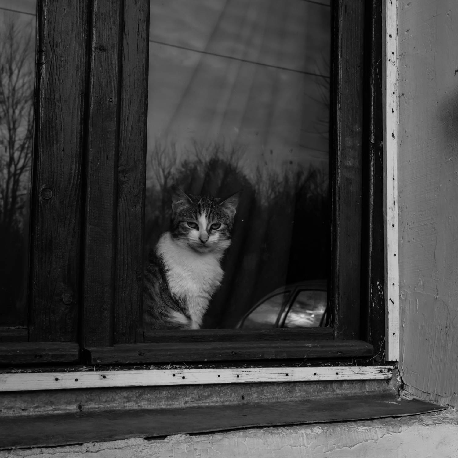 , Шилов Александр