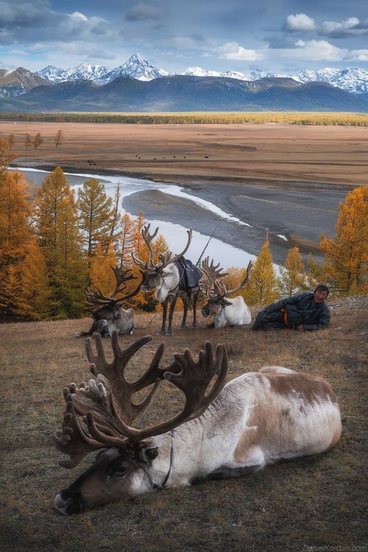 Mongolia Tsaatan фото превью