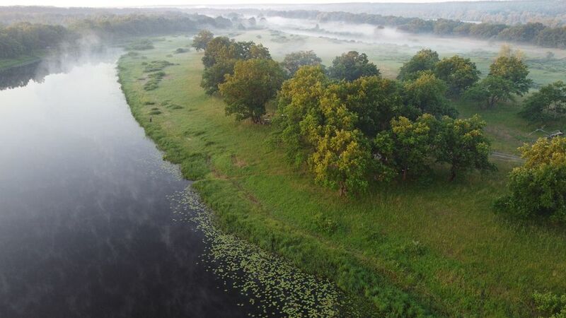 Летнее утро фото превью