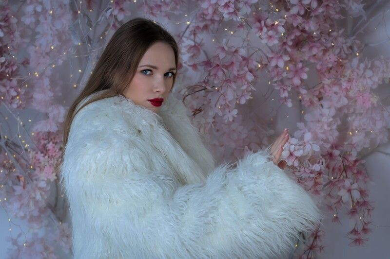 Вишневый цвет фото превью