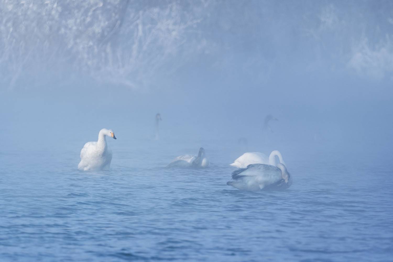 , Важенин Евгений