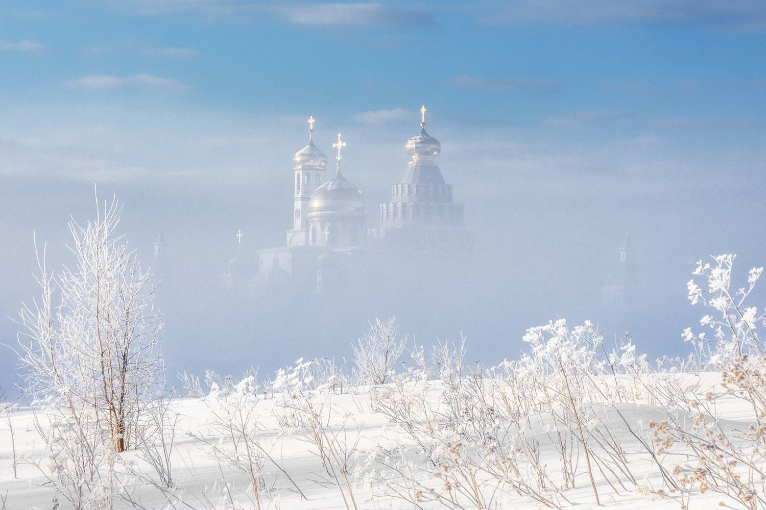 Истра, Гусева Елена