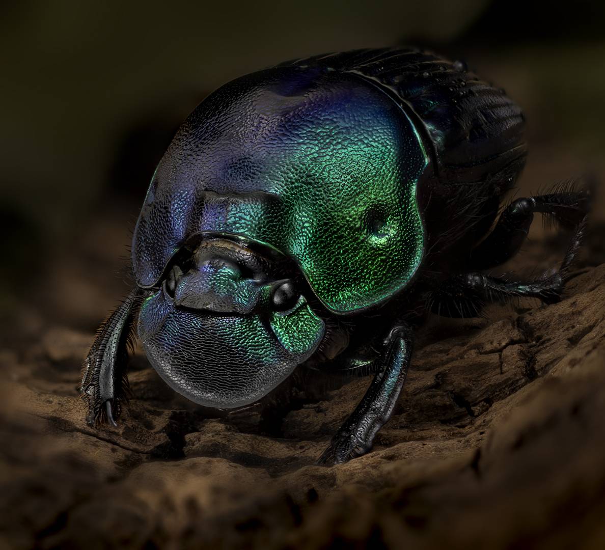 , Kavaliauskas Eugenijus