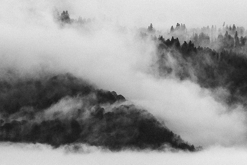 Whisper of oblivion фото превью