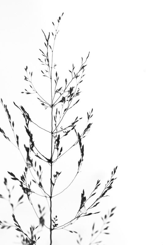 зима  фото превью