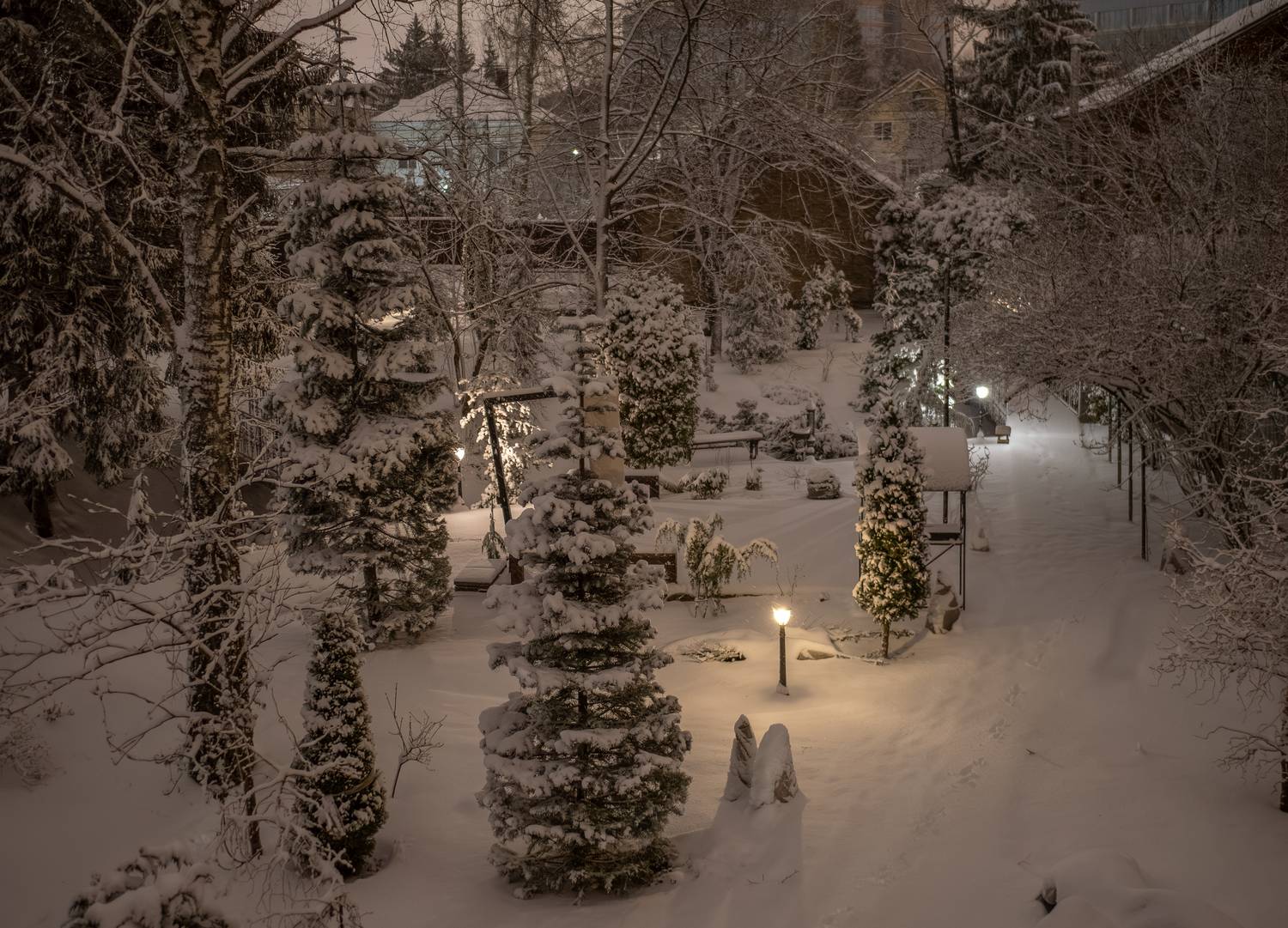 , Курлянцев Алексей