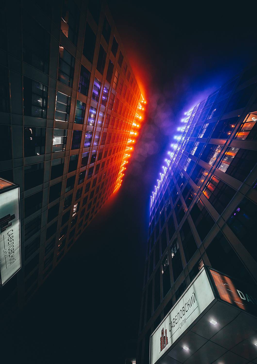 , Трепольский Дмитрий