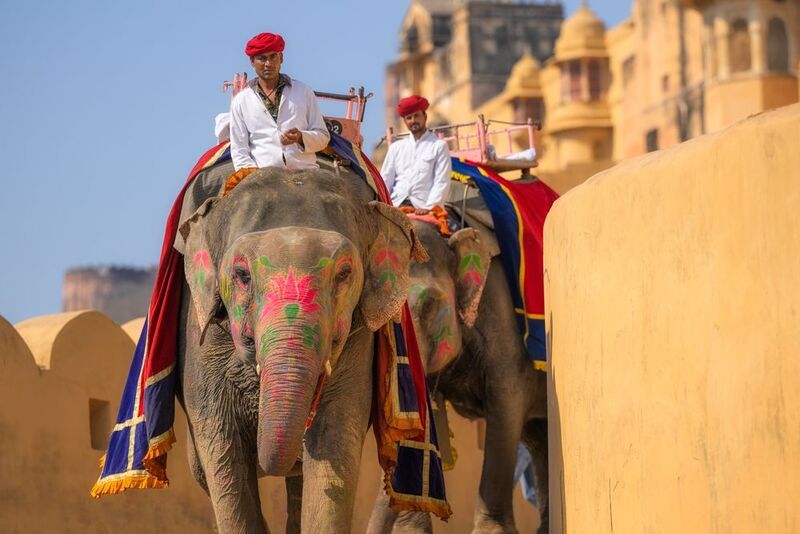 индия, стрит, india, слоны  фото превью