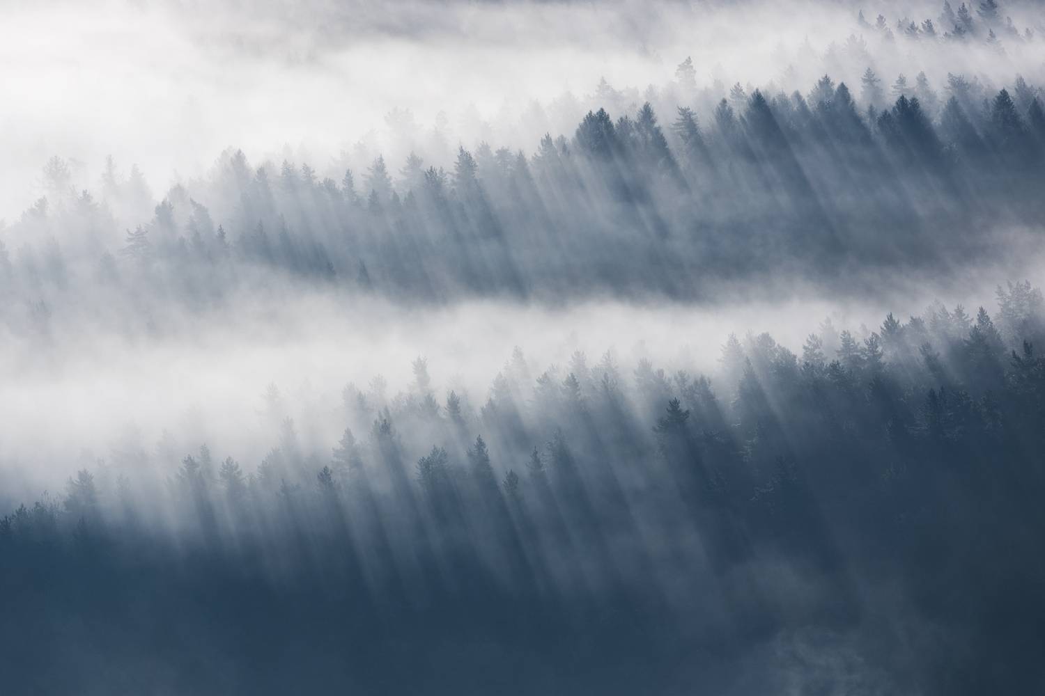 ,  Mirosław Pruchnicki