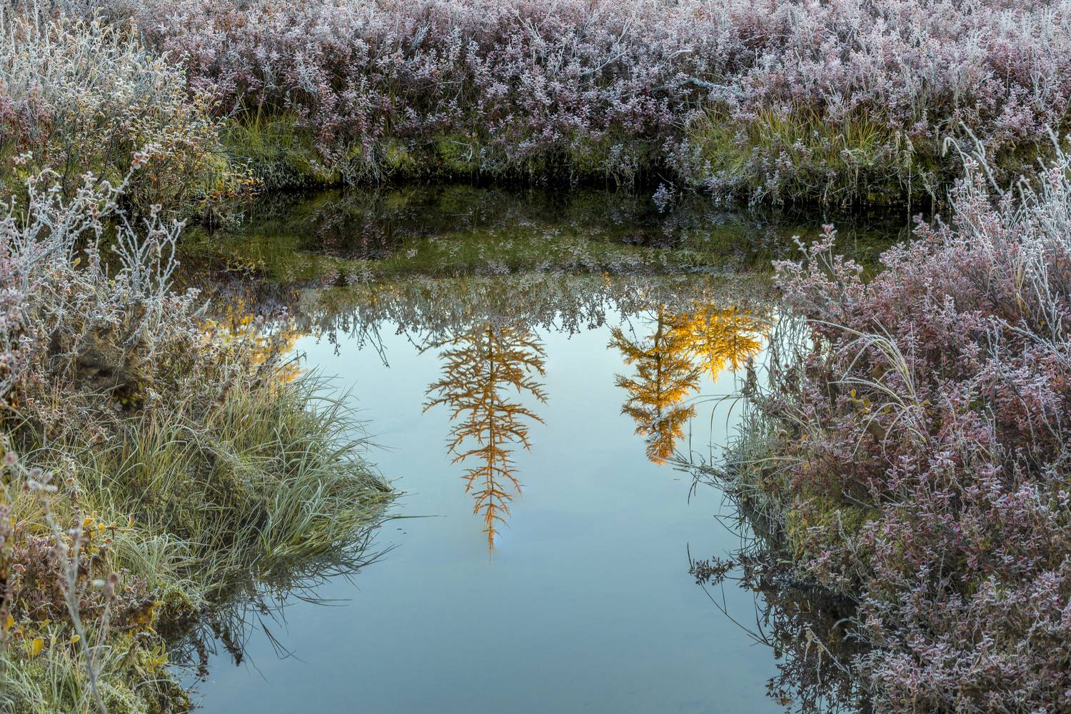 , Георгий Башкин