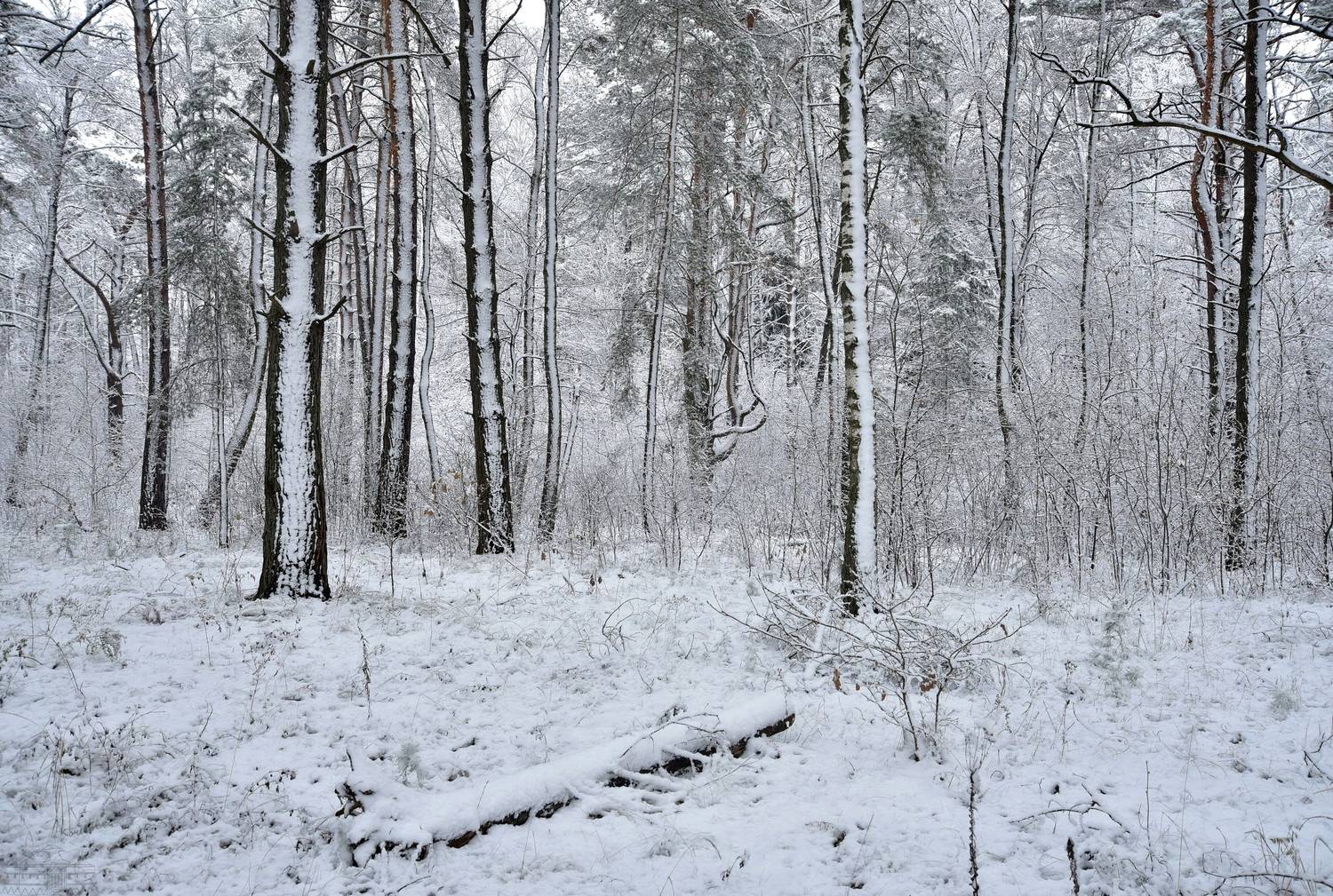 , Юлия Абрамова