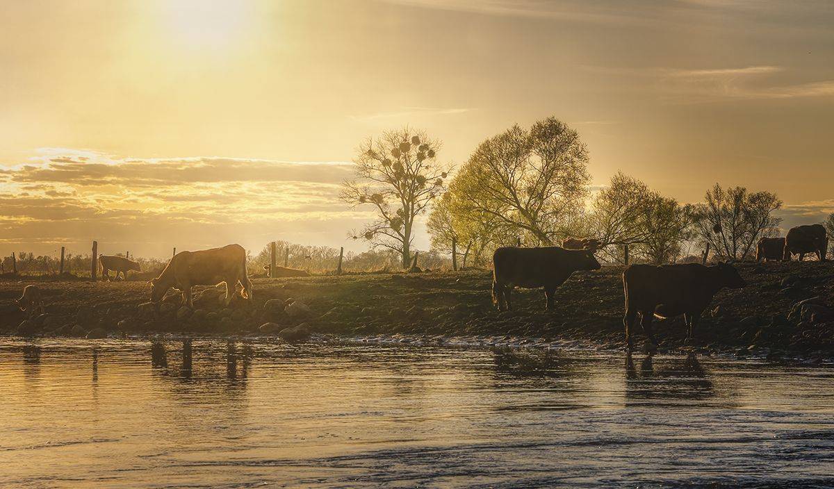 , Sławek Przybylski