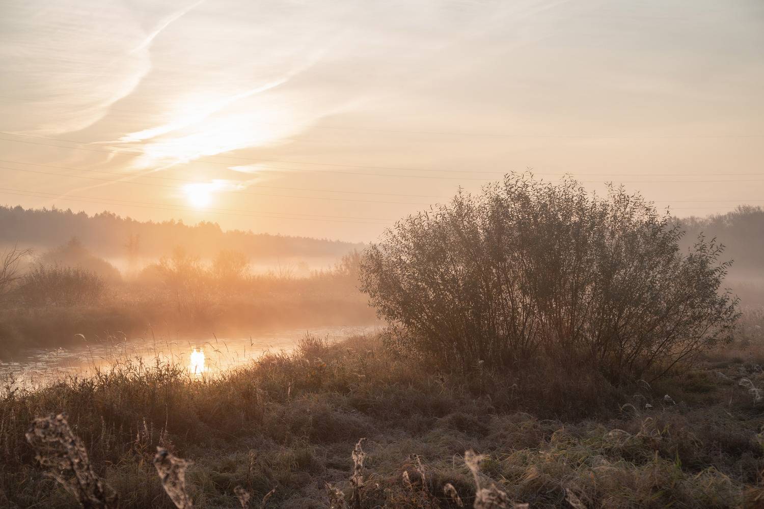 Владимир, город Владимир, природа Владимира, Владимирская область, туман, Кормашова Татьяна