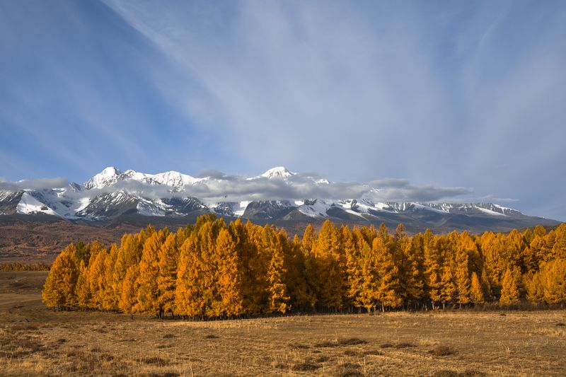 россия, горный алтай,счх,осень,утро Лёд и пламень фото превью