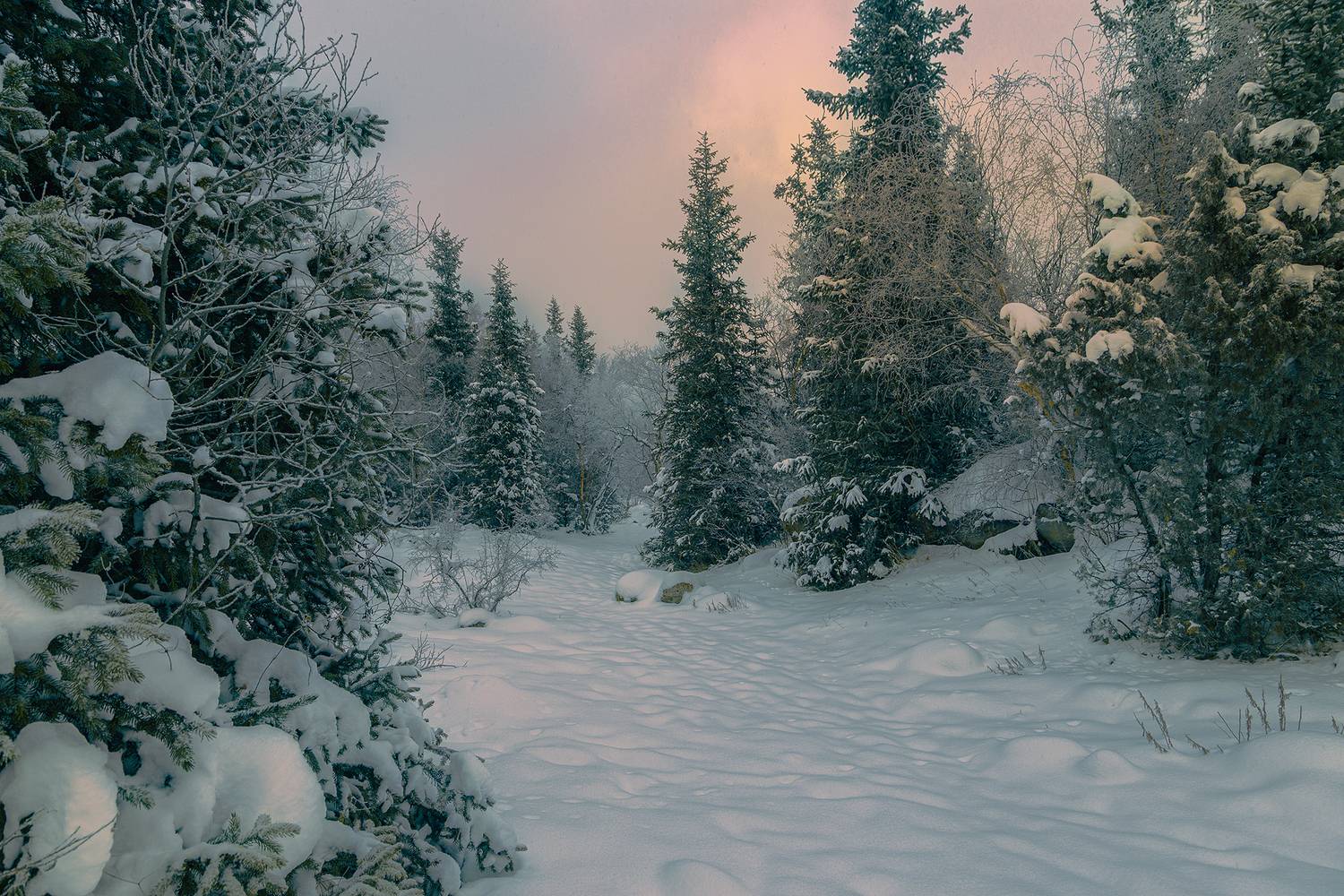кыргызстан, ала-арча, Элина Магалимова