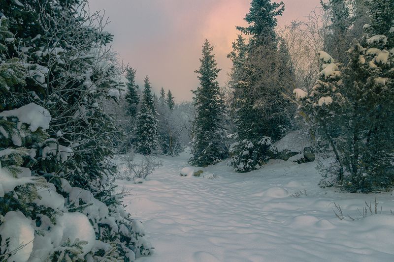 кыргызстан, ала-арча Декабрьские зарисовки фото превью