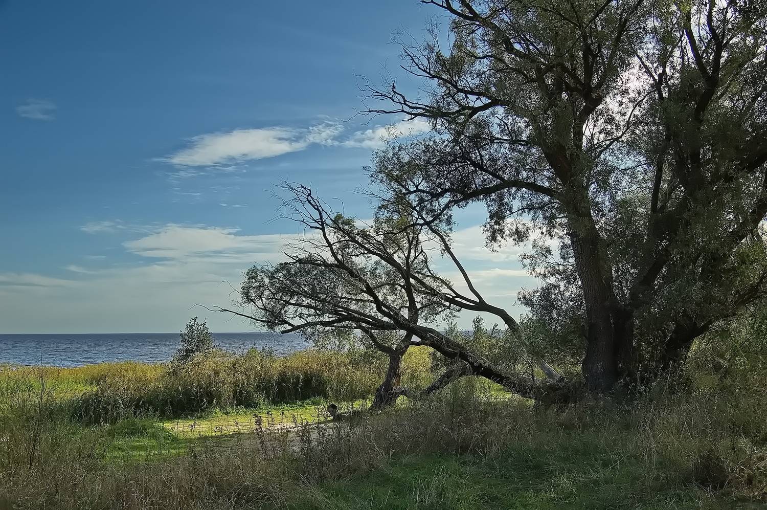 , Николаев Владимир
