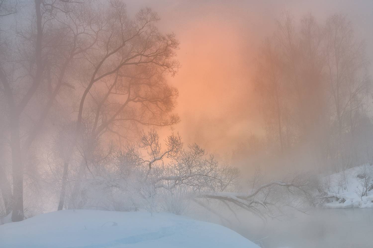 Истра, Гусева Елена