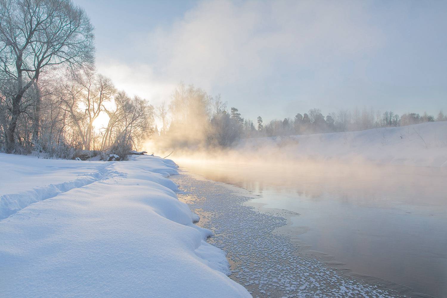 , Анатолий Зверев