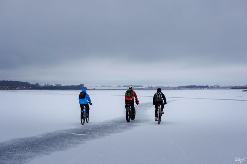 На велосипедах по Шатскому водохранилищу фото превью