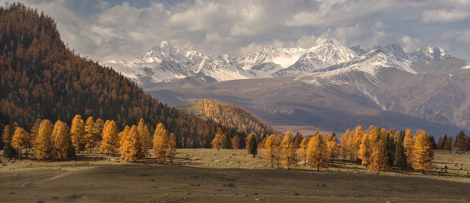 #джазатор #осень алтай #горы, Олег Герасимов