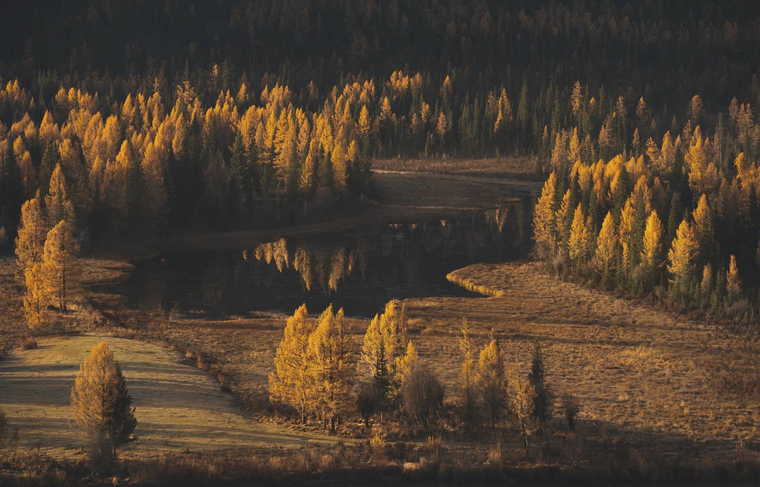 #джазатор #осень алтай #горы, Олег Герасимов