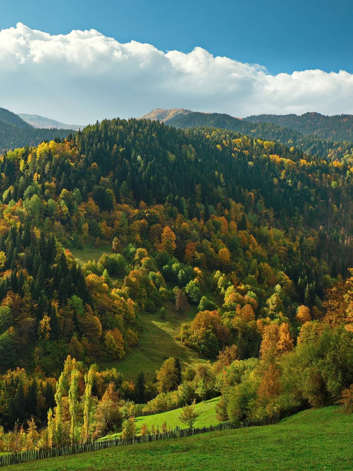 горы, осень, грузия, сванетия, Виктор Гурков
