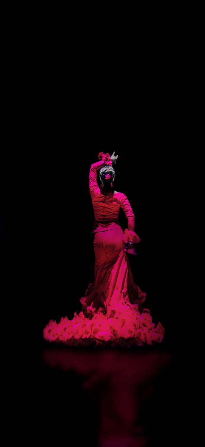 испания, кордоба, фламенко, танцовщица, Ходос Илья