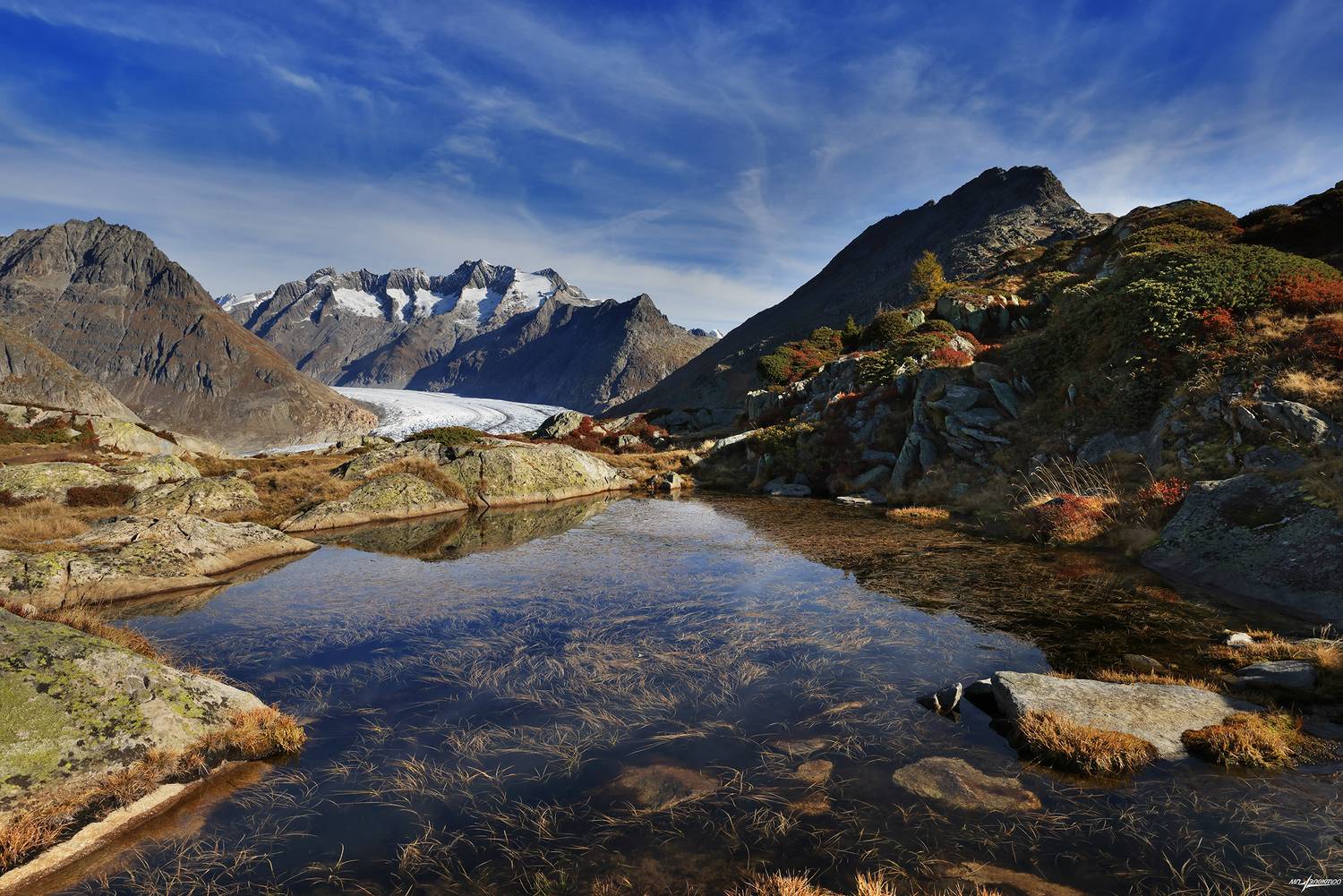 swiss, Матвеев Николай