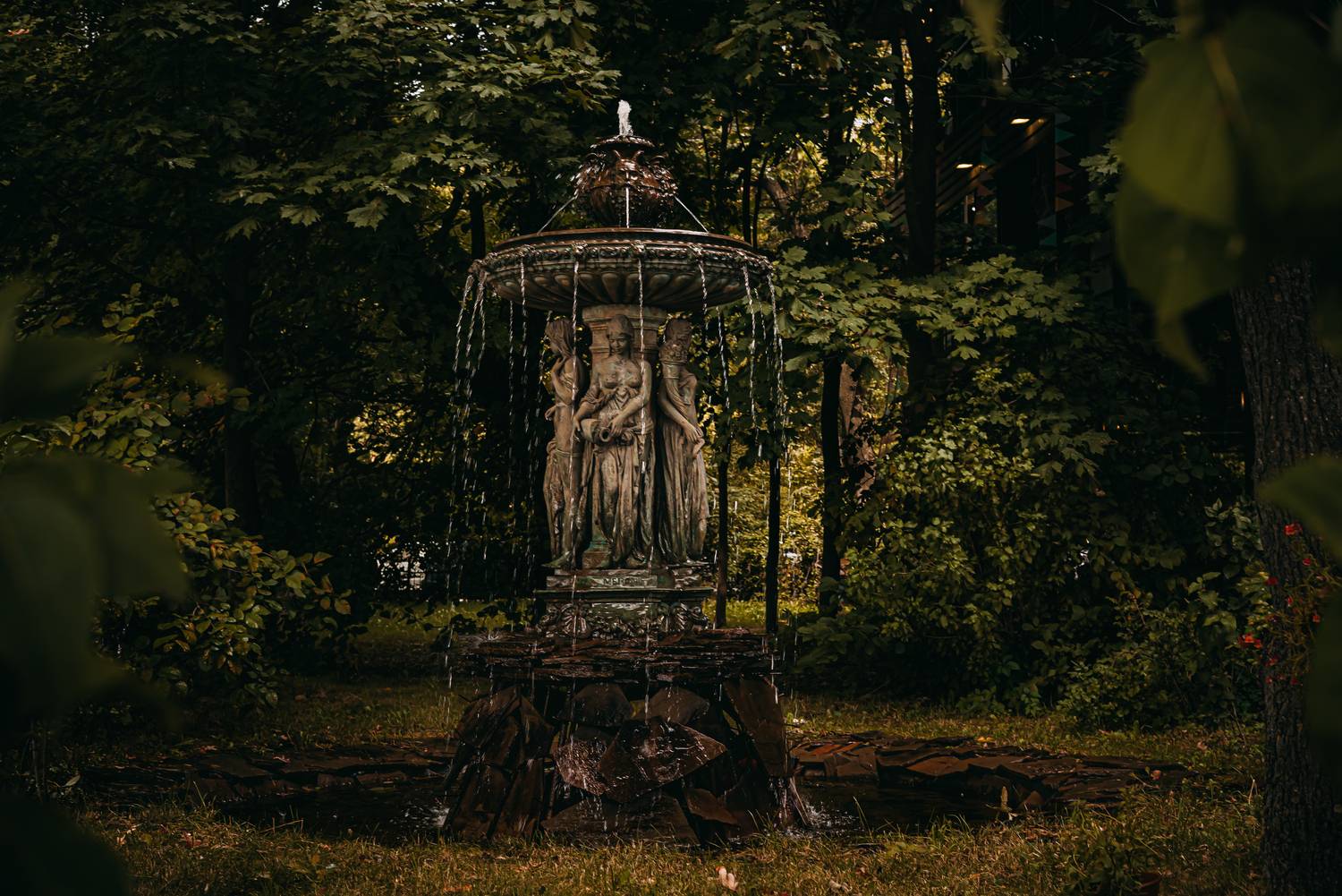 , Дарья Шевченко