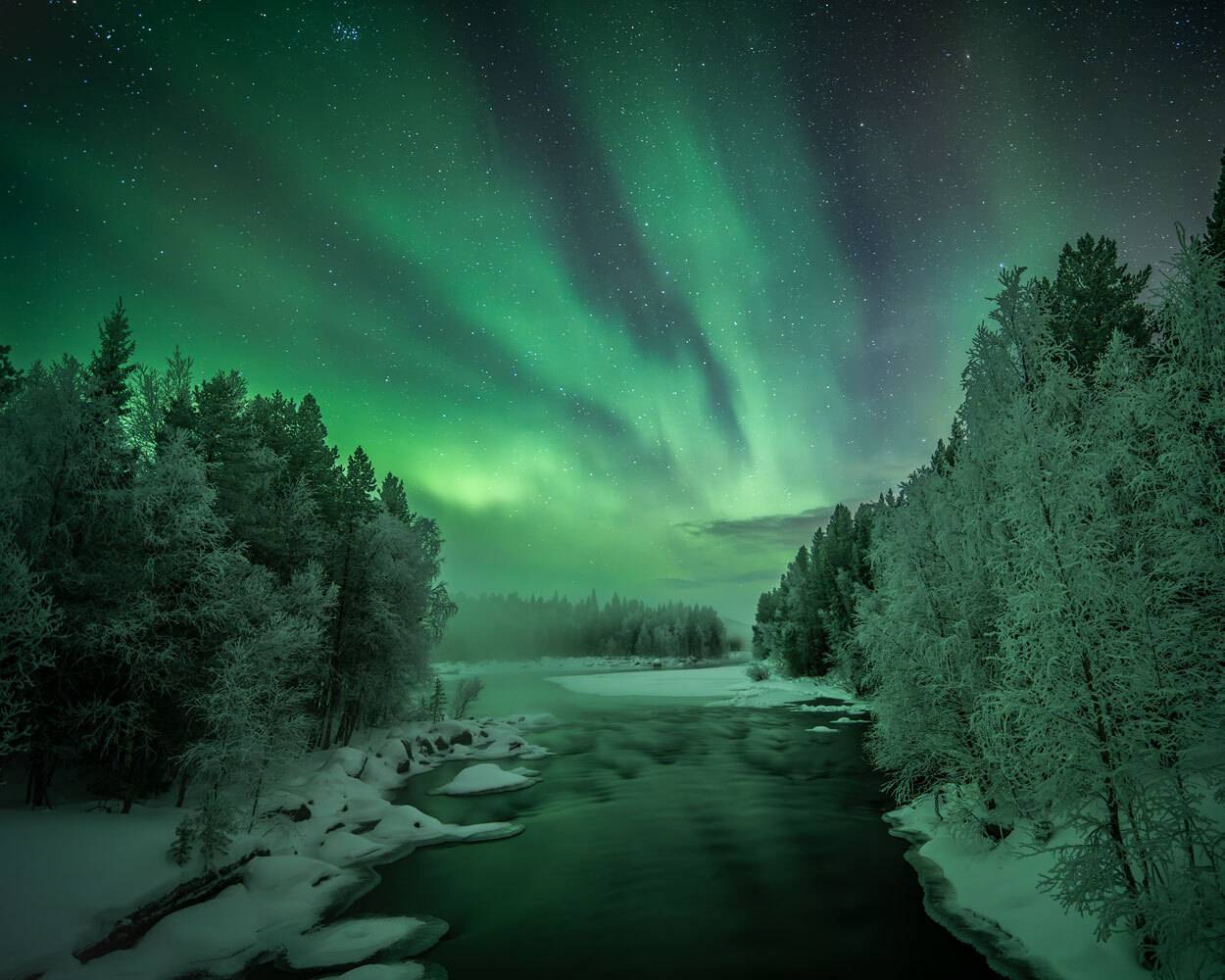 , Бушков Евгений