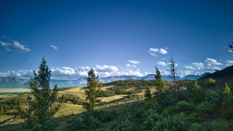 курайская степь алтай фото превью