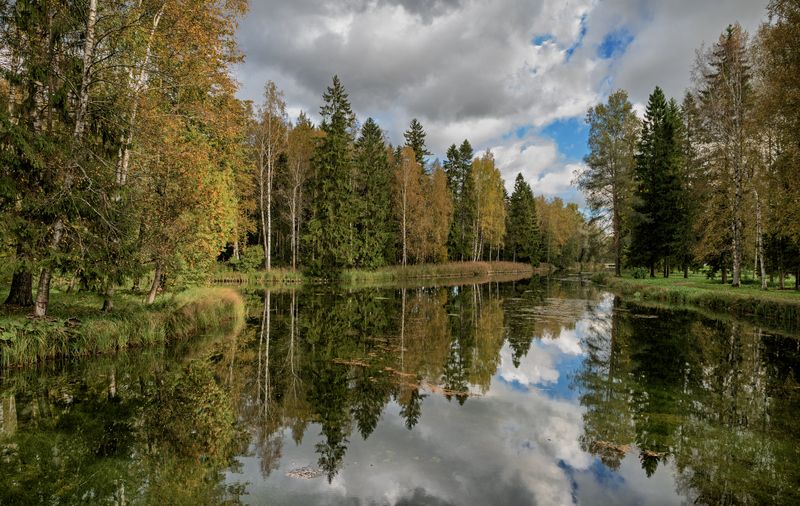 гатчина, дворцовый парк, осень  фото превью