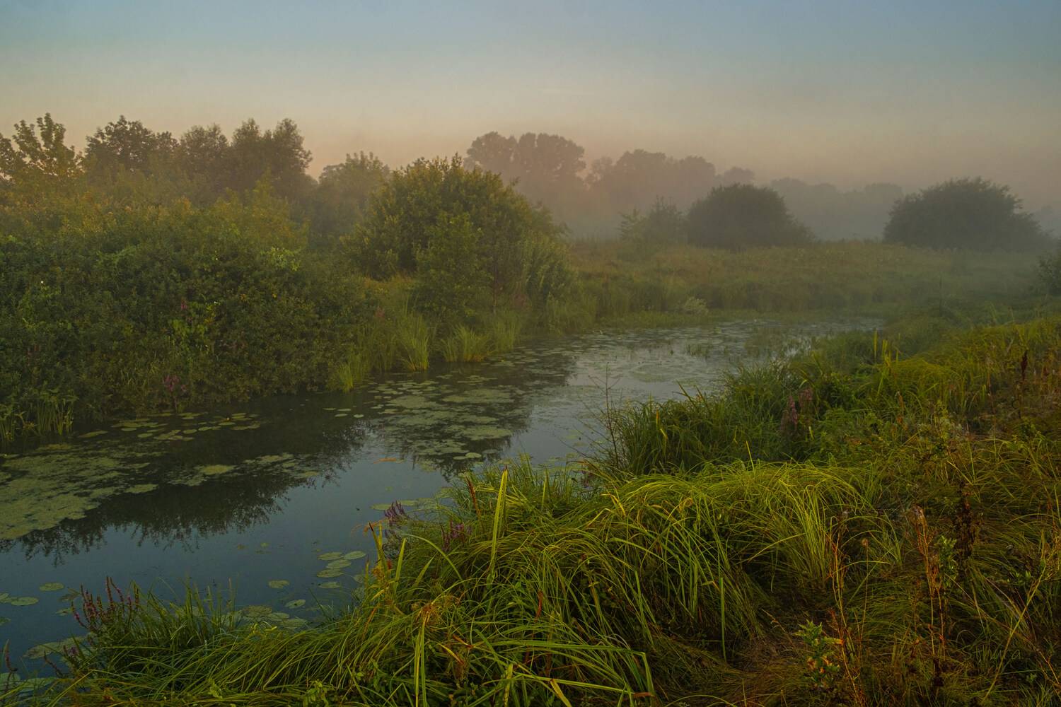 лето речка утро туман природа пейзаж, Александр Строков