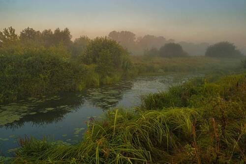 Летнее утро.