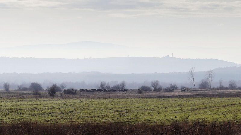 Расстояния в тумане фото превью