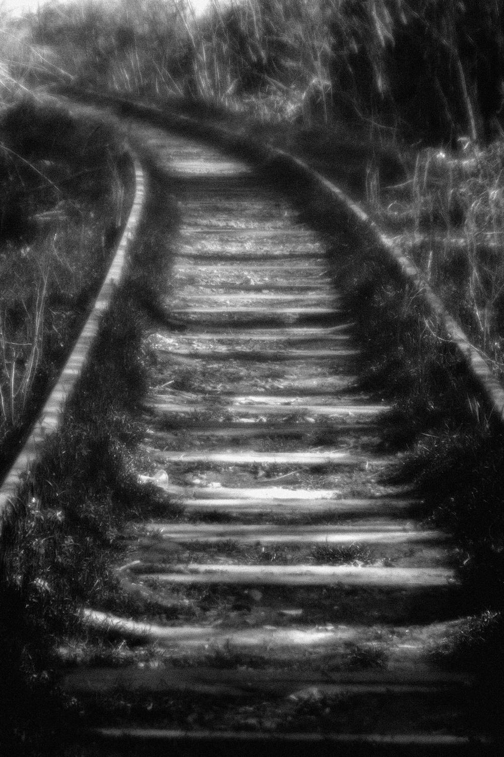 , Андрей Петросян