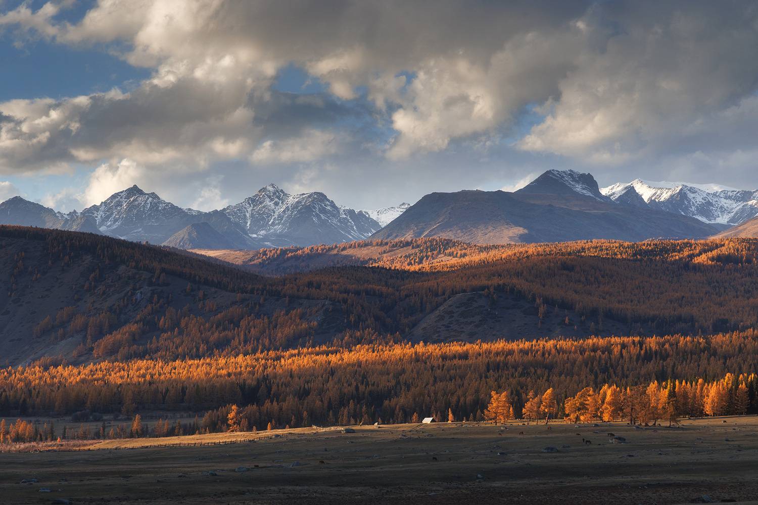 алтай, горный алтай, вечер, беляши, джазатор, пейзаж, уходящий свет, последние лучи, Морозов Сергей