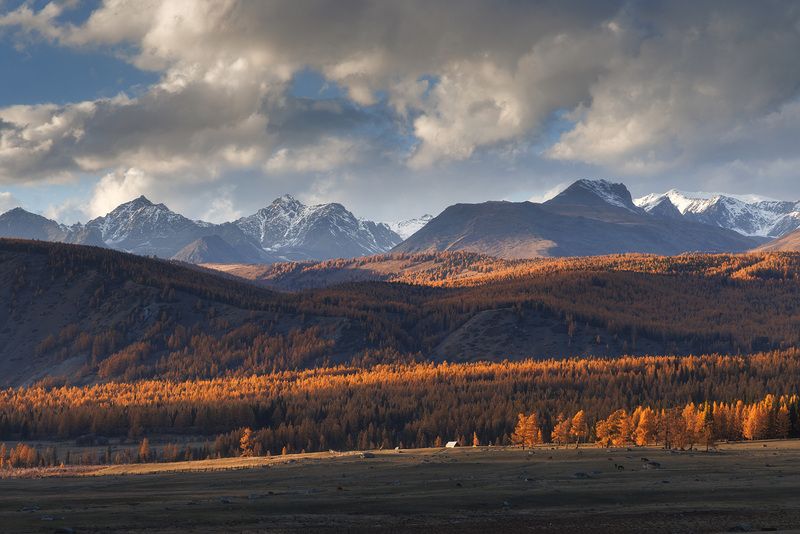 алтай, горный алтай, вечер, беляши, джазатор, пейзаж, уходящий свет, последние лучи Уходящий свет фото превью