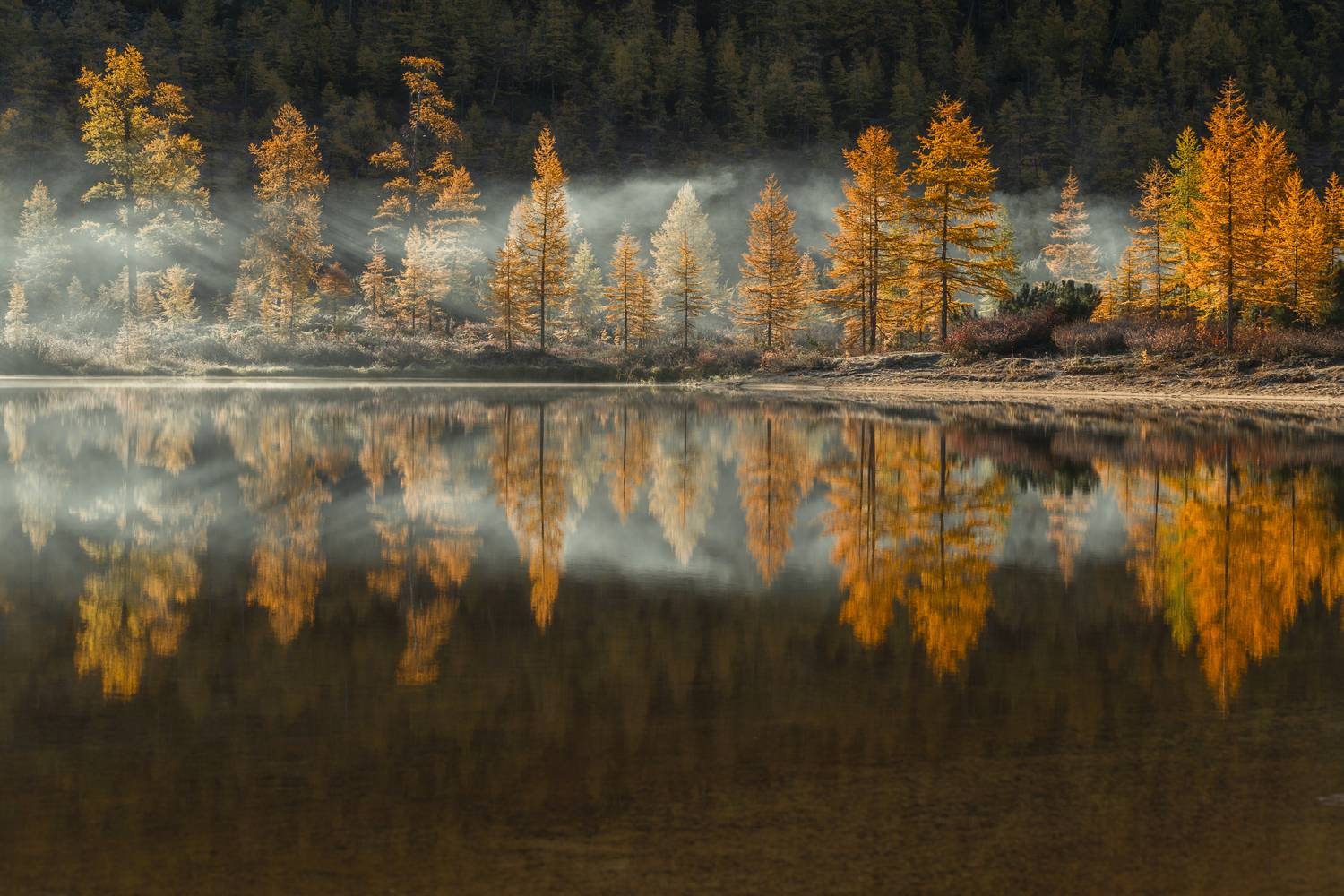 колыма,озеро невидимка,озеро джека лондона,осень,рассвет, Башкин Георгий