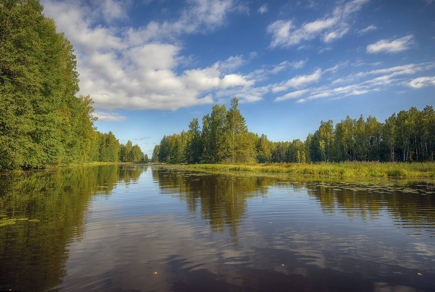 , Сергей Аникин