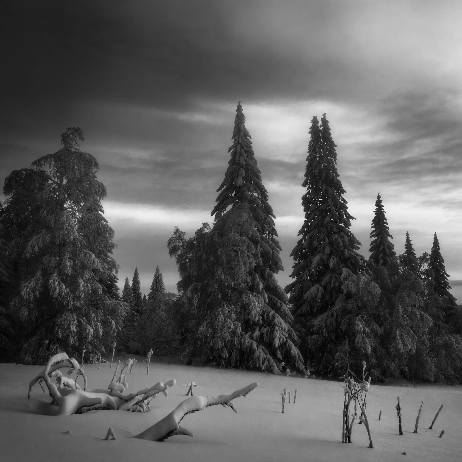 урал, зюраткуль, пейзаж, зима, горы, южный урал, утро, рассвет, монохром, лес, снег, Толстоноженко Илья